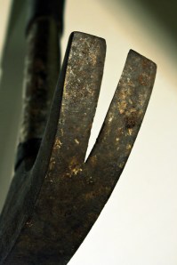 Image from Flickr Courtesy of Christina Ann VanMeter