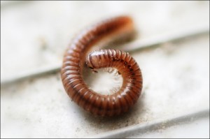 Photo Credit: pshutterbug via Compfight cc