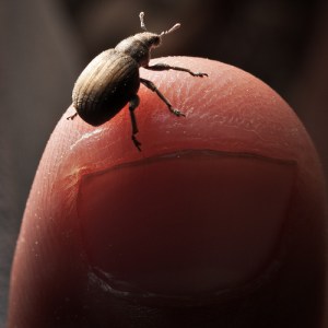 Photo Credit: Pedro Moura Pinheiro via Compfight cc