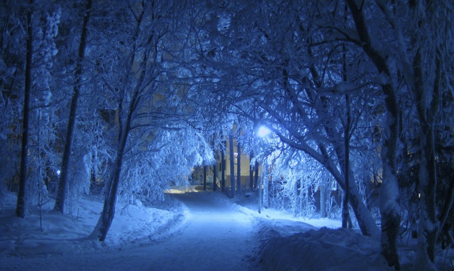 Winter, path, snow, night