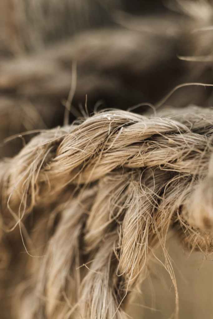 A close up of strands of fibre woven into rope
