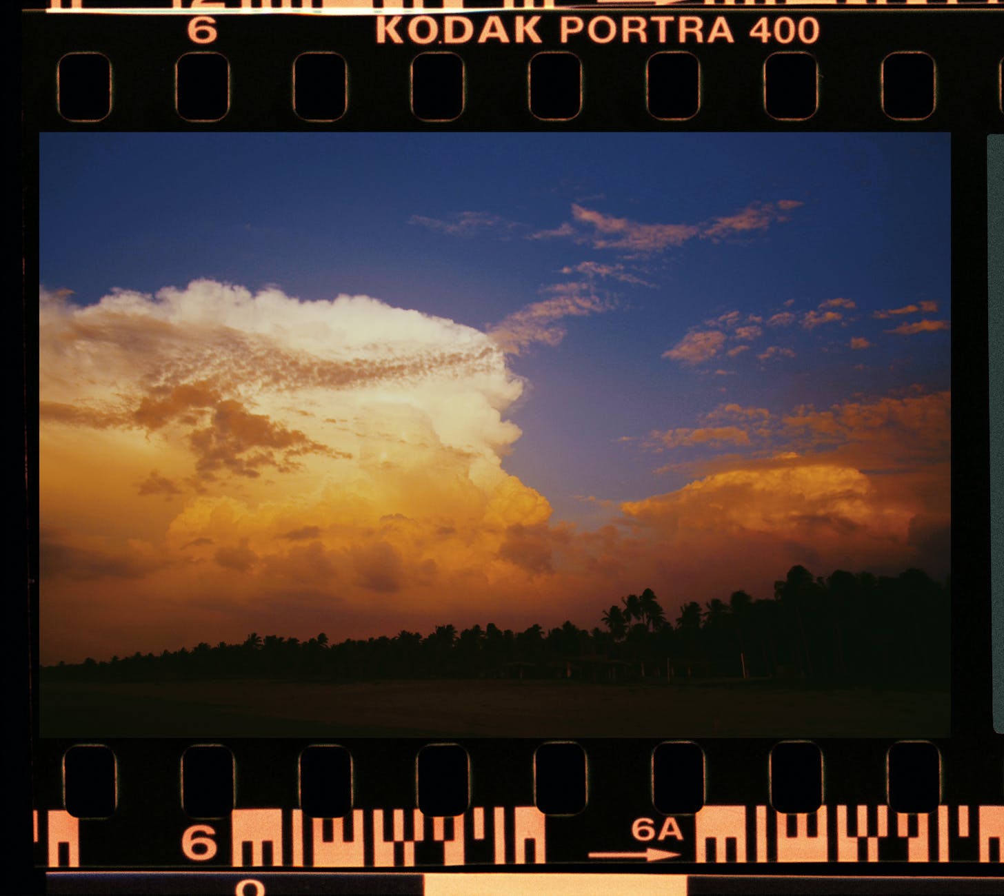An image of a developed photo frame. The photo is of a tree lined horizon against a cloudy sky.