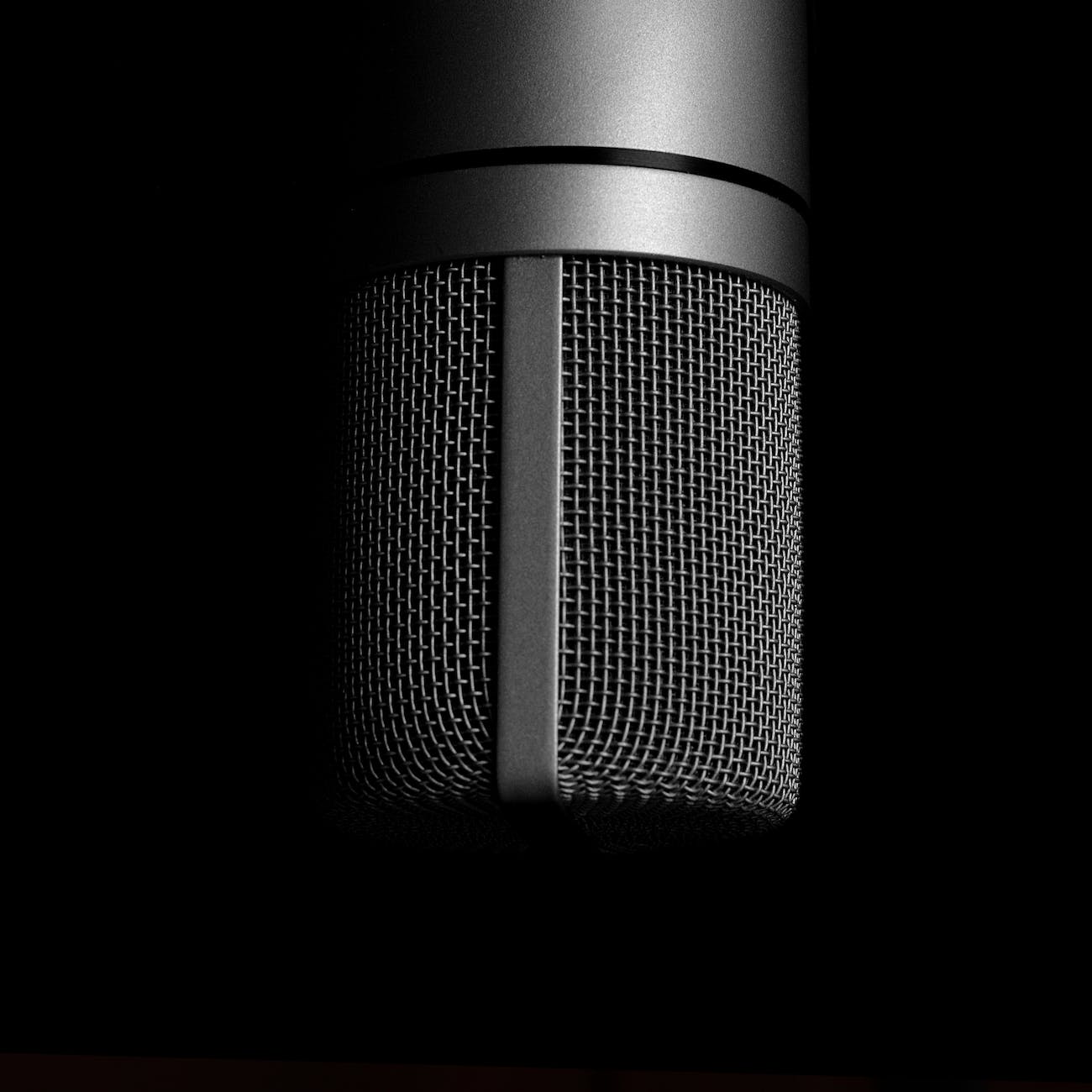 Black and white image of a studio microphone.