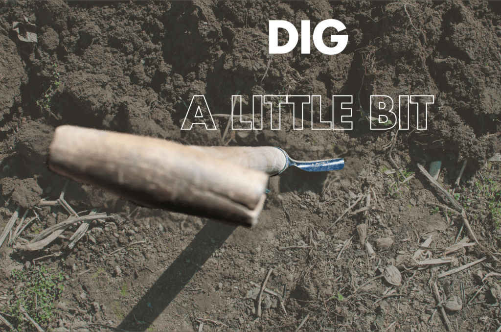 Close-up of a shovel handle over freshly dug soil with the text "DIG A LITTLE BIT" overlaid, encouraging exploration or effort.