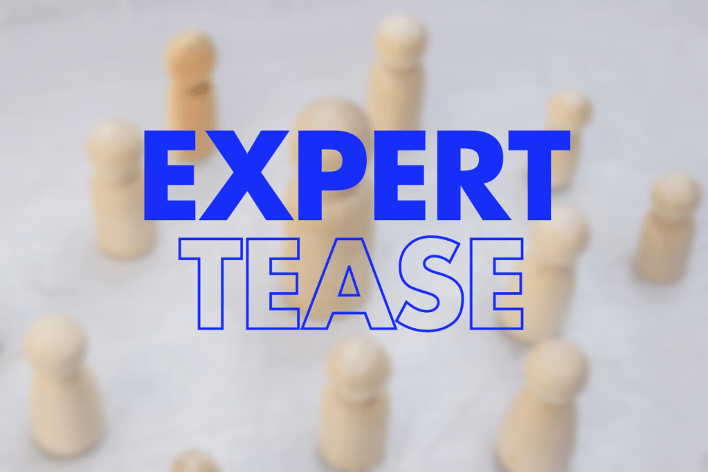 The image shows text that reads "EXPERT TEASE" displayed in blue letters against a blurred background with what appear to be light-colored chess pieces or similar game pieces scattered behind it. The word "EXPERT" is in solid blue while "TEASE" appears to be outlined.

