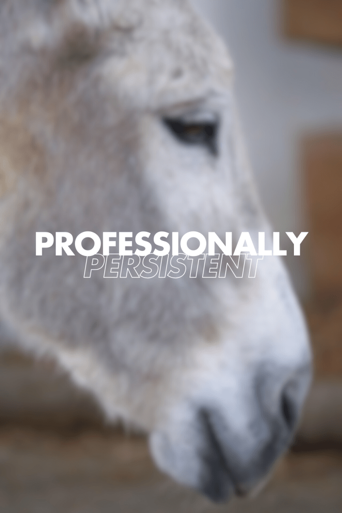 Close-up, slightly blurred profile of a light-coloured donkey's head and face, with the white text "PROFESSIONALLY PERSISTENT" overlaid in the center.